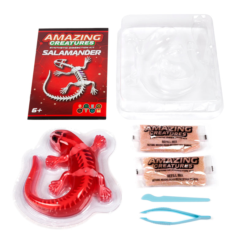 Amazing Creatures Salamander Synthetic Dissection Kit - STEM