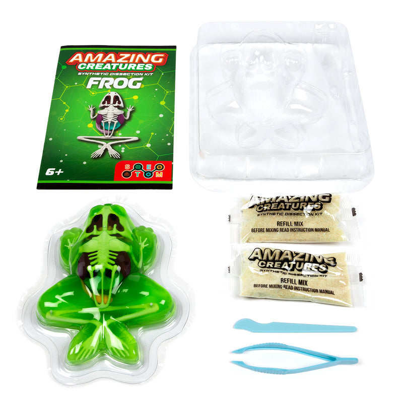 Amazing Creatures Frog Synthetic Dissection Kit - STEM